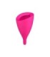 INTIMINA COPA MENSTRUAL LILY CUP TALLA B