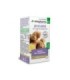 ARKOCAPSULAS JENGIBRE BIO 40 CAPSULAS