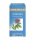 PASIFLORA ARKOPHARMA 300 MG 84 CAPSULAS