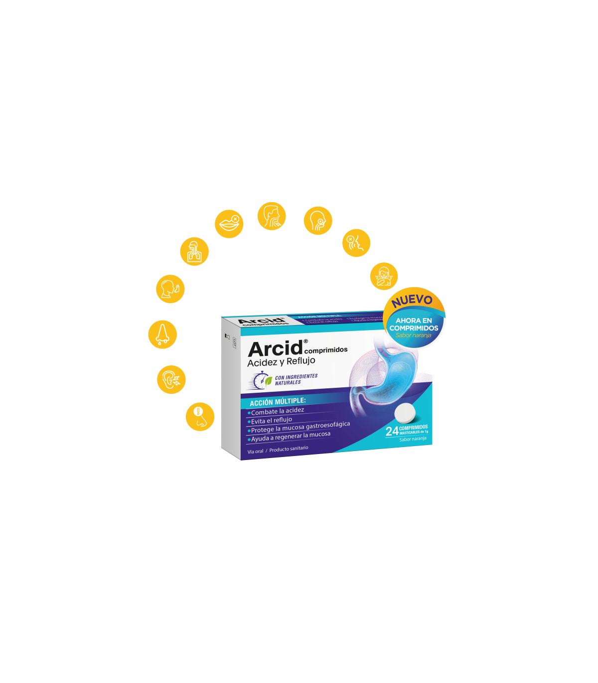 ARCID 24 COMP MASTICABLES NARANJA
