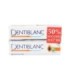 DENTIBLANC BLANQUEADOR INTENSIVO PASTA DENTAL  DUPLO 100 ML