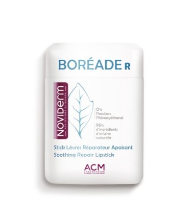 BOREADE R STICK REPARADOR 9,2 G